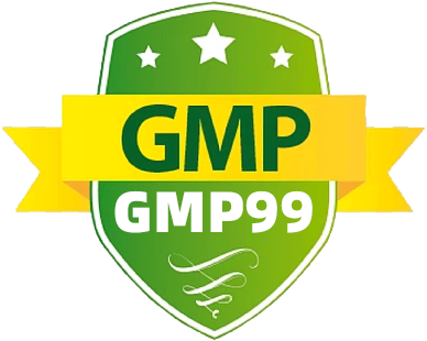 gmp99vip.my Logo